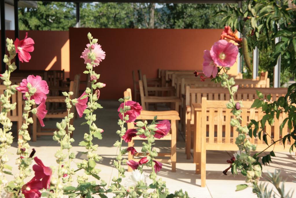Storchencamp Gaestehaus Purbach Purbach am Neusiedlersee Bagian luar foto