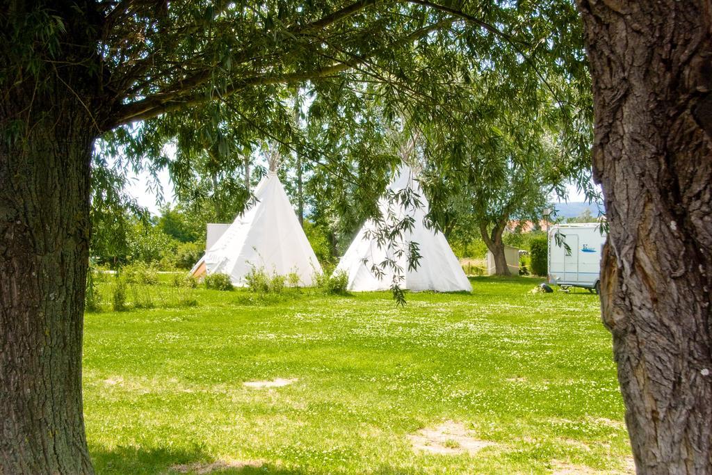 Storchencamp Gaestehaus Purbach Purbach am Neusiedlersee Bagian luar foto