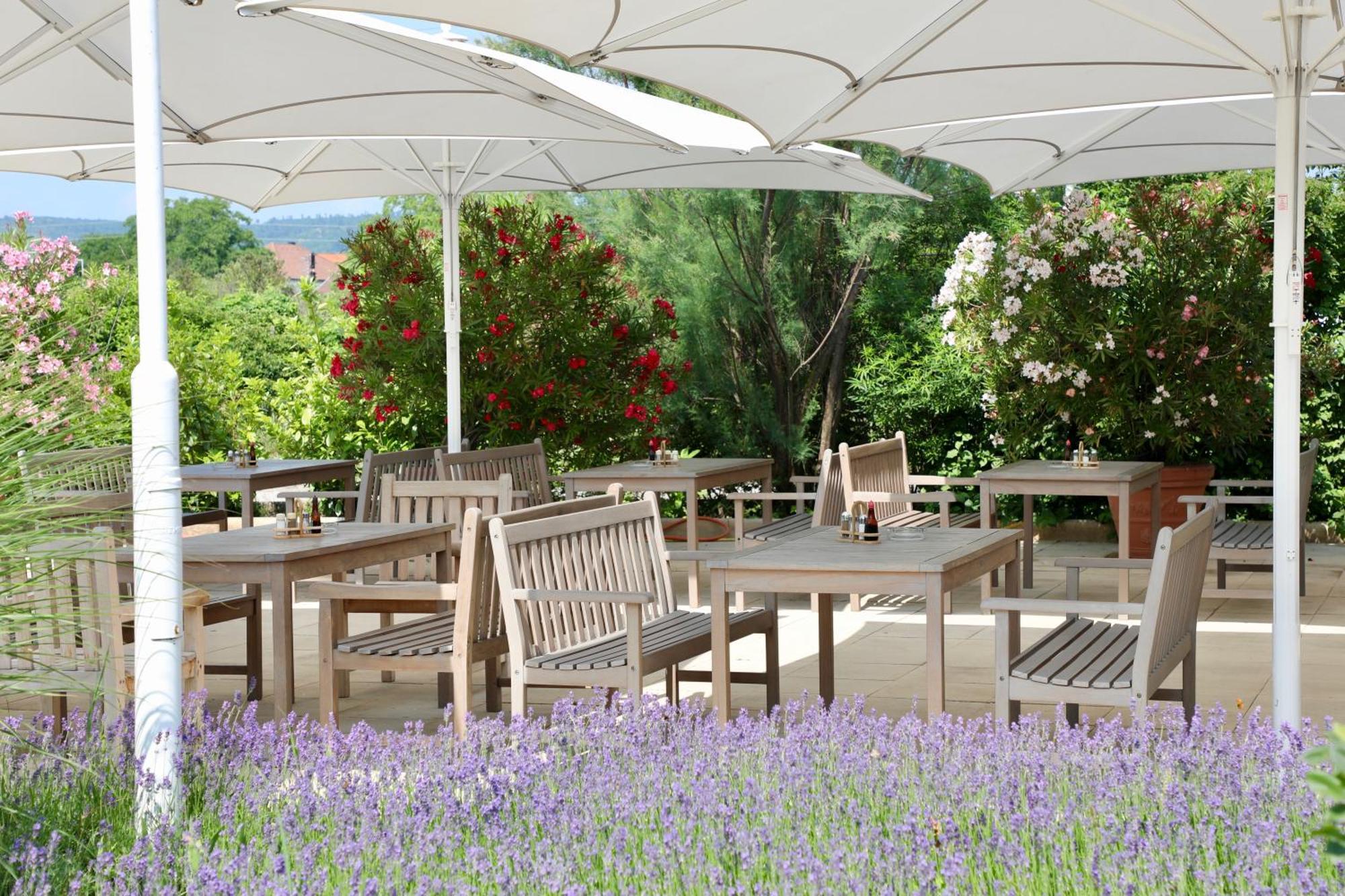 Storchencamp Gaestehaus Purbach Purbach am Neusiedlersee Bagian luar foto