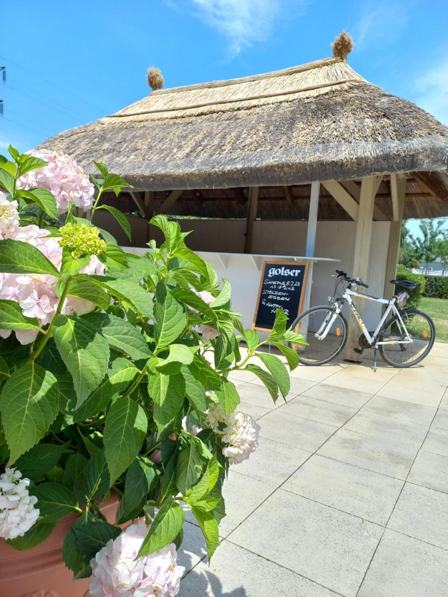Storchencamp Gaestehaus Purbach Purbach am Neusiedlersee Bagian luar foto