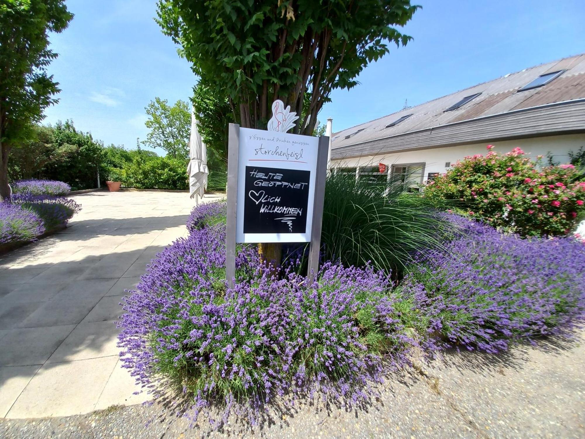 Storchencamp Gaestehaus Purbach Purbach am Neusiedlersee Bagian luar foto