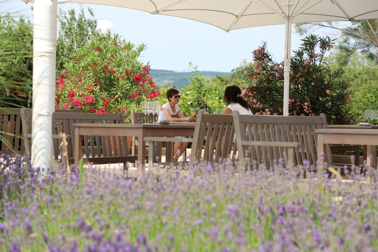 Storchencamp Gaestehaus Purbach Purbach am Neusiedlersee Bagian luar foto